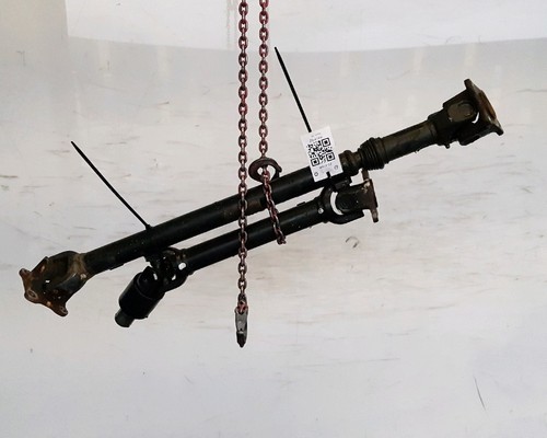 Albero trasmissione - di,