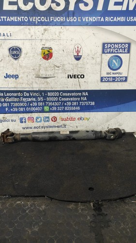 Albero trasmissione - di,